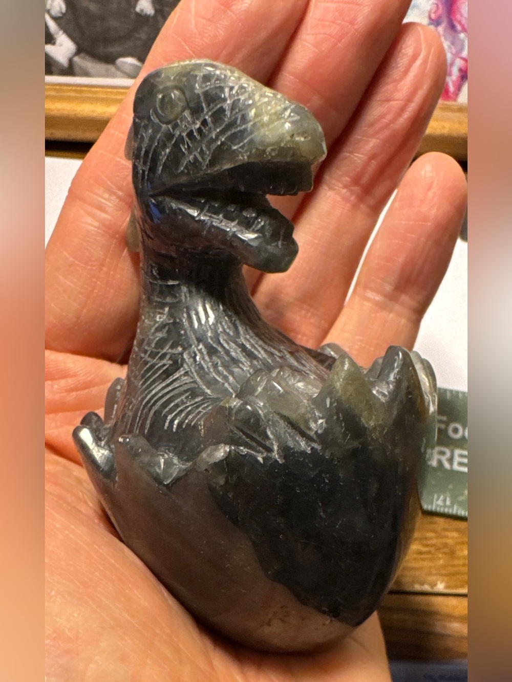 Baby Dragon Hatchling Carved in Labradorite- Colors Gray & Green- Display Piece